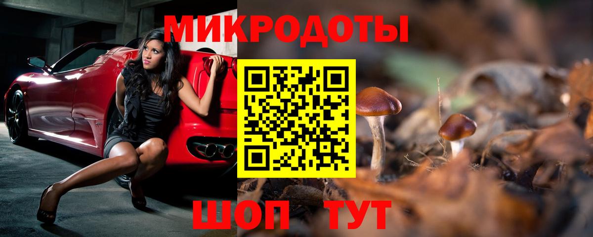 Камышин  Галлюциногенные грибы мухоморы  Псилоцибиновые грибы Cubensis  Вход с VPN 